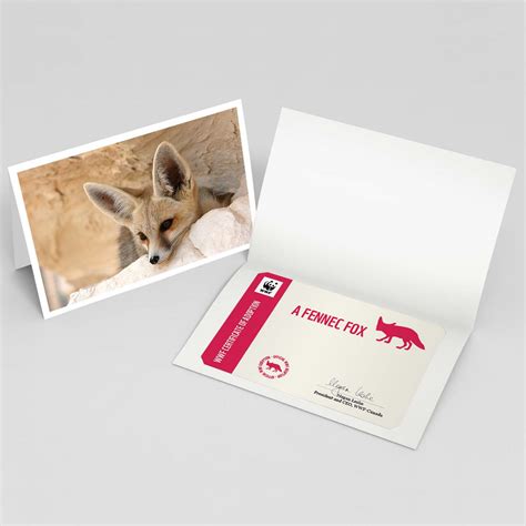 Fennec Fox Adoption Card | Personalized Certificate Gifts