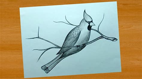 Pencil Shading Pictures Of Birds