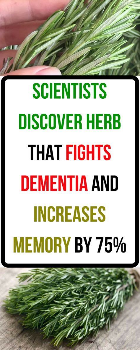 Amazing! Scientists Discover Herb That Fights Dementia And Increases Memory By 75 | Fight ...