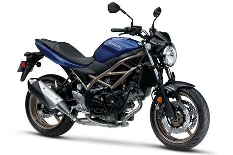 2023 Suzuki SV650 ABS Guide • Total Motorcycle