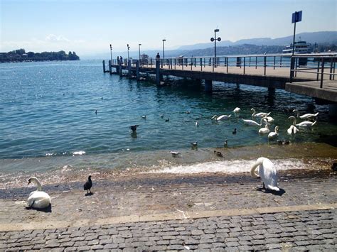 Zurich, Switzerland | Switzerland, Zurich, Beach