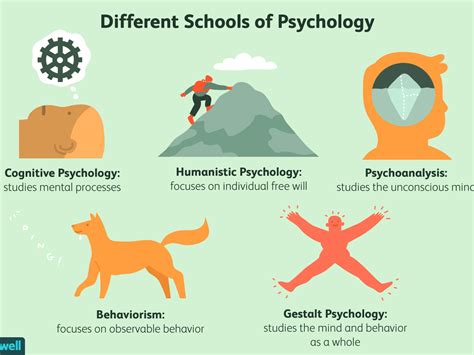 best schools for psychology and neuroscience - INFOLEARNERS