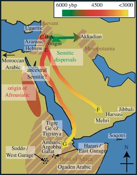 Map of Semitic languages and inferred dispersals. The locations of all ...