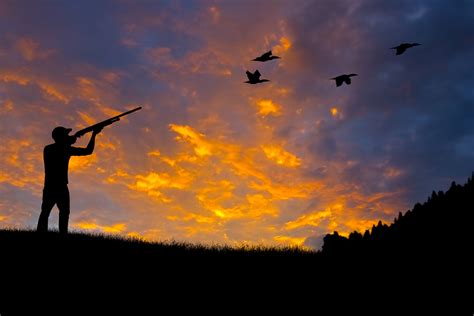 Texas Dove Hunting Tips - Whitetail and Exotic hunting ranch in North Texas