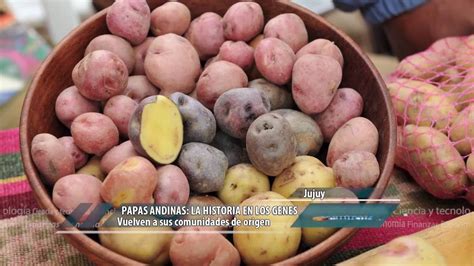 Papas andinas: la historia en los genes - YouTube