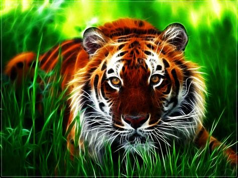 Tiger Desktop Wallpapers - Top Free Tiger Desktop Backgrounds ...