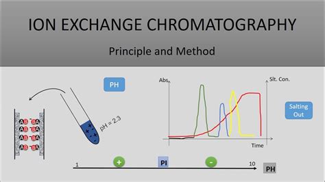 Principle Of Ion Exchange Chromatography