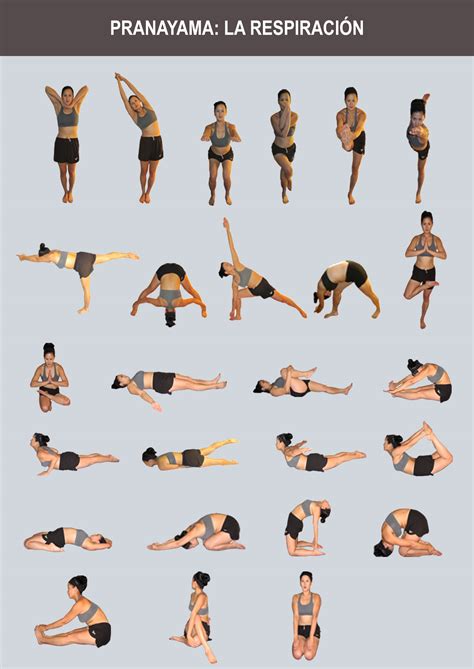 Yoga - Historia, beneficios y ejercicios de Yoga