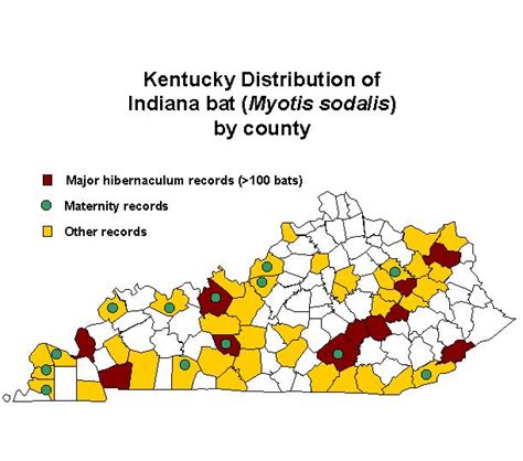 Kentucky Department of Fish & Wildlife Indiana Bat