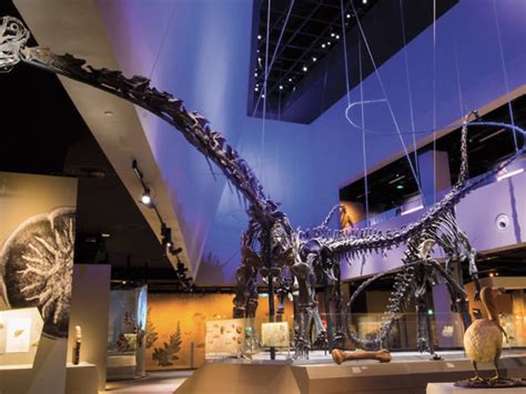 35 Best Museums To Visit In Singapore