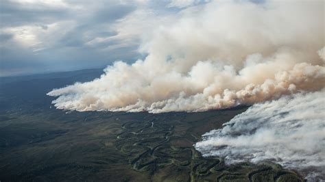 How breathing in wildfire smoke affects the body