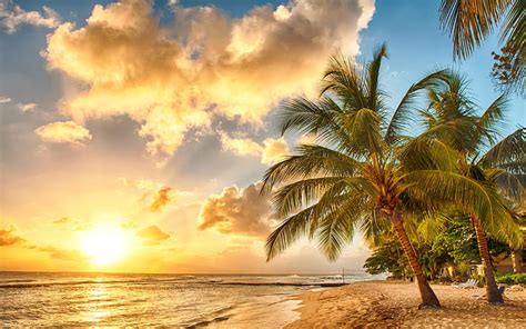 1920x1080px | free download | HD wallpaper: Tropical, paradise, beach, palms, sea, ocean, sunset ...