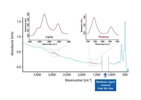 FTIR Technology | Life Science Research | Merck