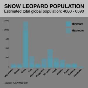 Snow Leopard Facts For Kids - Snow Leopard Information For Kids