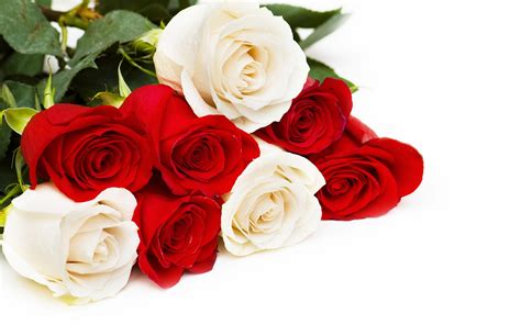 Download wallpapers bouquet of red and white roses, red roses, white roses, roses on a white ...