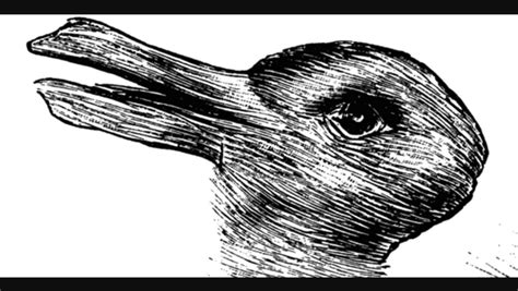 Duck or Rabbit Optical Illusion Drawing