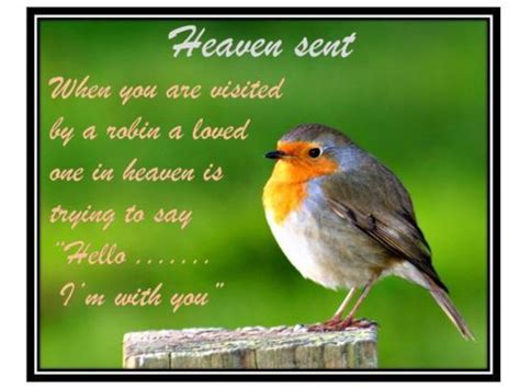 Image result for bird robin quotes | First love, Loved one in heaven, Robin