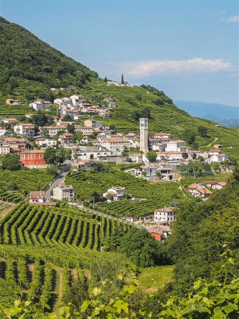 Valdobbiadene town and Prosecco vineyards in Veneto | Stock image | Colourbox