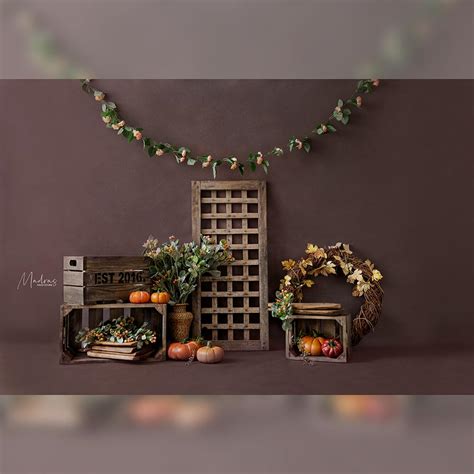 The Autumn with the Pumpkins - Baby Printed Backdrops | Madras Prop Store