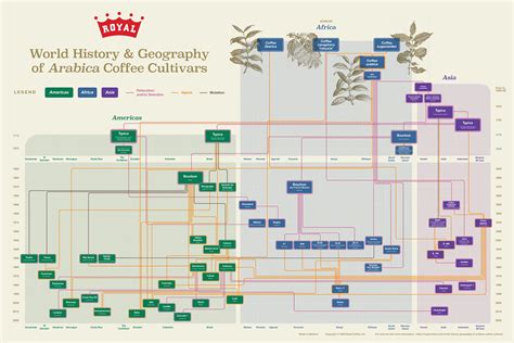 Royal Coffee Releases World History & Geography of Arabica Coffee Cultivars Poster | 図鑑Project