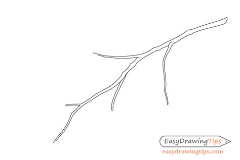 How to Draw a Tree Branch With Leaves - EasyDrawingTips