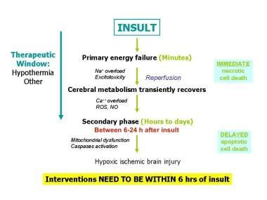 Hypoxic-Ischemic Encephalopathy: Practice Essentials, Background, Pathophysiology