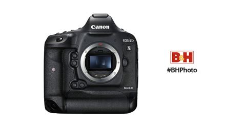 DSLR Cameras for Wildlife Photography | B&H Photo Video