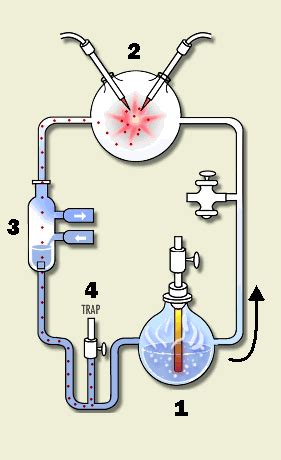 You Don't Have To Have A Ph.D.!: Didn't they create life in a test tube?