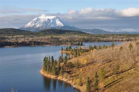 Climate change is affecting vegetation in Yukon. What should we do ...