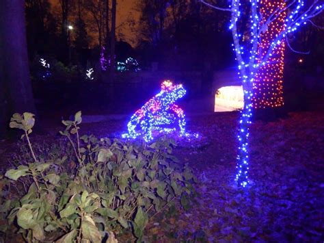 Atlanta Botanical Garden Holiday Lights