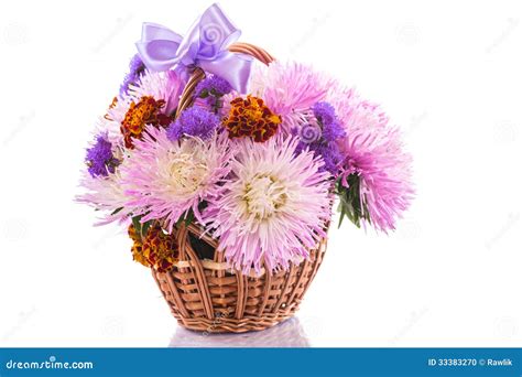 Aster bouquet stock photo. Image of plant, flora, purple - 33383270