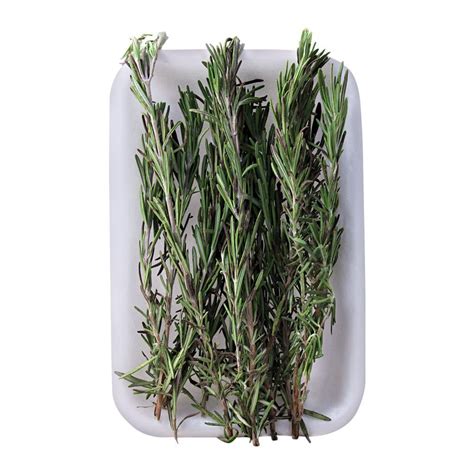 Buy Fresh Basket Rosemary Leaves, Imported Online at Special Price in ...