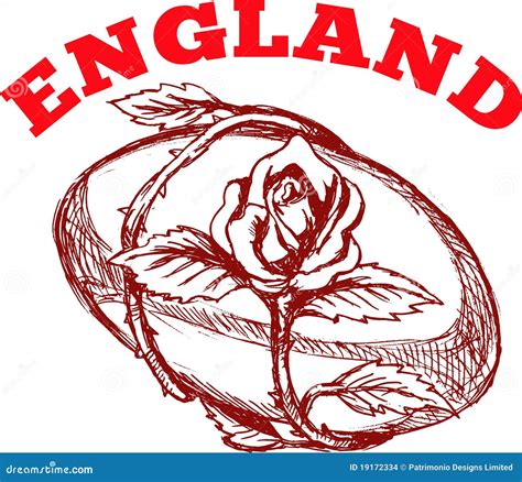 England Rugby Ball With English Rose Stock Images - Image: 19172334