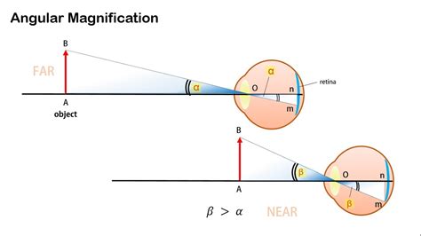 Angular Magnification and Magnifying Power of Optical Instruments - YouTube