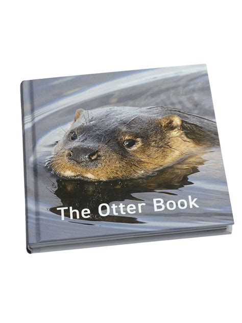 The Otter Book – The Gift Shop at Otters and Butterflies