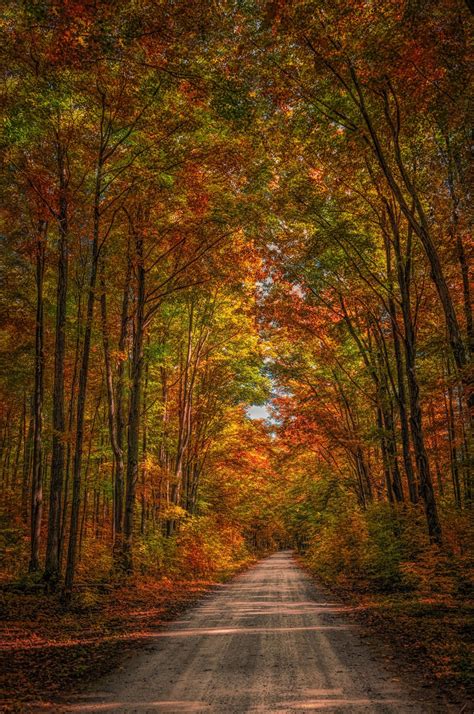 Fall Country Road | Autumn scenery, Country roads, Fall pictures