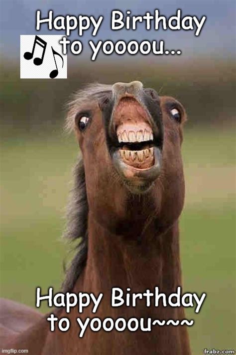 Birthday horse - Imgflip