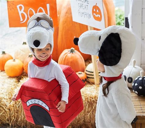 Snoopy® 3-D Dog House Costume | Pottery Barn Kids