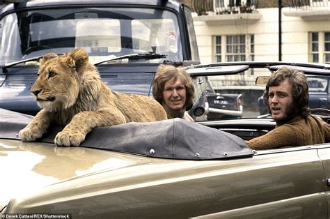 Unseen pictures of lion cub which was bought in Harrods in 1969 | Daily ...