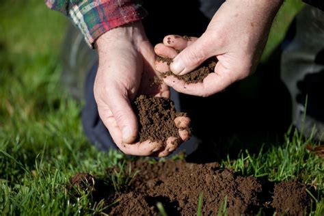 Soil cultivation: how to loosen soil - Plantura