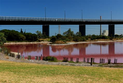 Westgate Park - red salt lake in summer | Affected by bacter… | Flickr