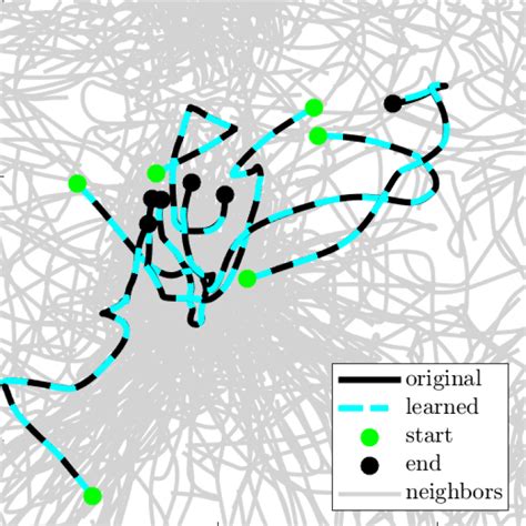 New study shows how to learn the equations of cell migration | CU ...