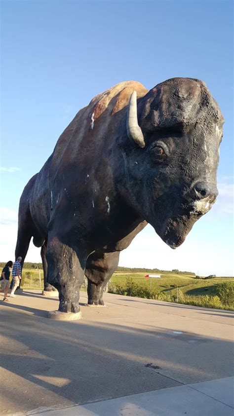 National Buffalo Museum - Last Updated June 8, 2017 - 11 Photos & 10 ...