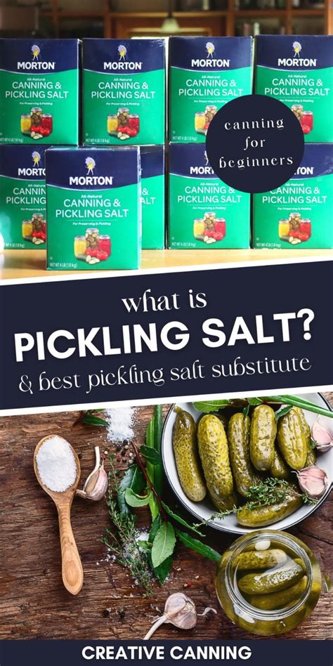 What is Pickling Salt & Best Pickling Salt Substitute: Home Canning 101 | Canning salt, Pickling ...