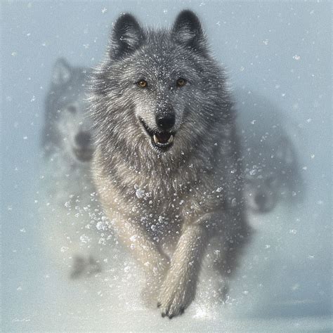 Running Wolves – Snow Plow – Square – Image Conscious