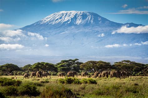 Things to Know about Kilimanjaro