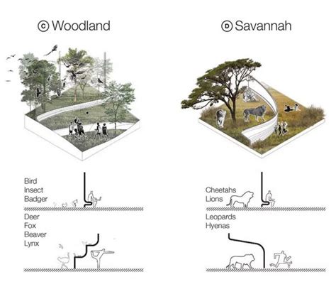 Rethinking Zoo Design - Neatorama