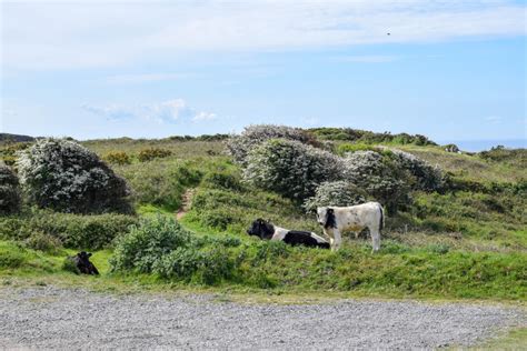 3 of the best short hikes in the Gower Peninsula | Part-Time Passport