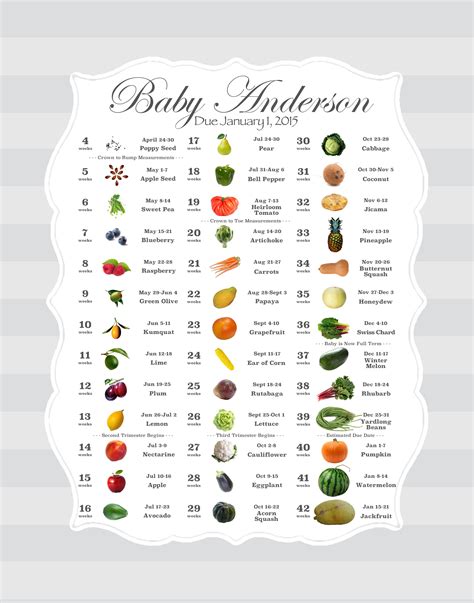 Baby Size Chart: Compare Fruits and Vegetables by Week