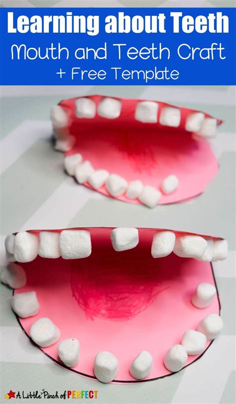 Learning about Teeth Brush & Clean Activity - | Dental health preschool, Dental health crafts ...